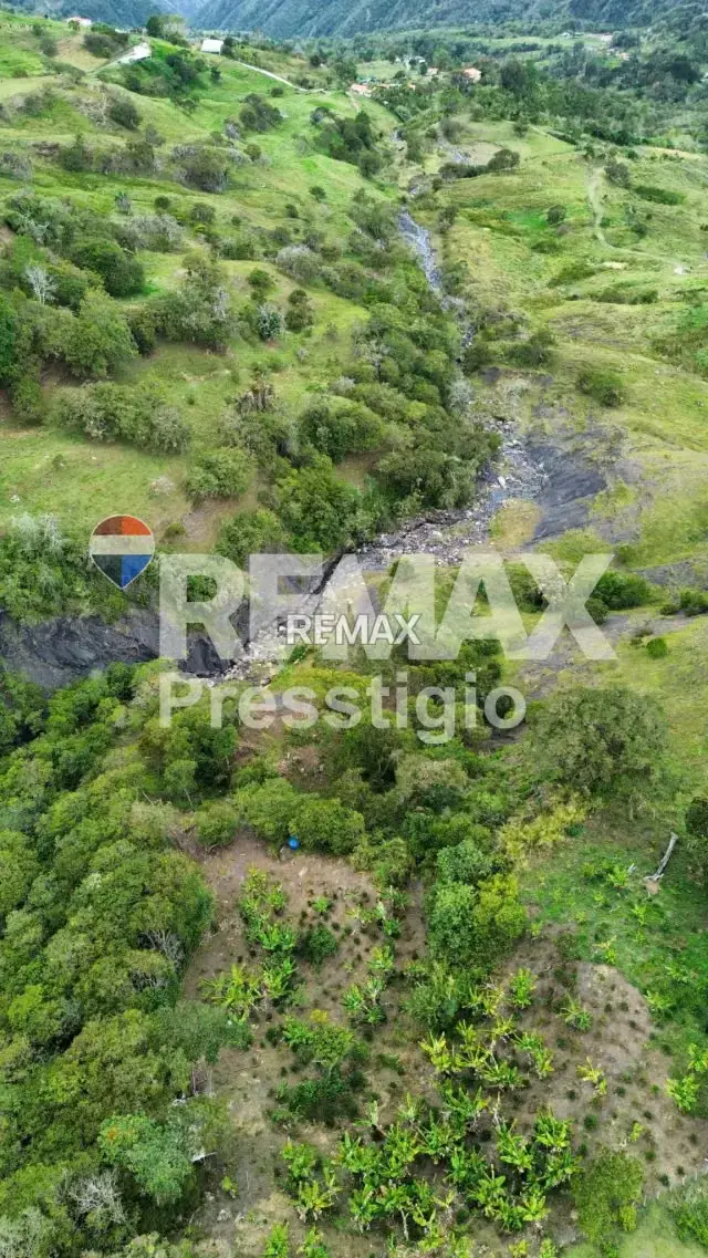 Finca en Venta