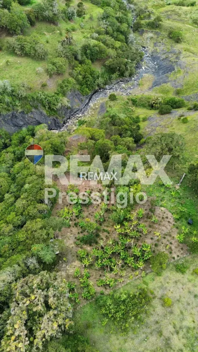 Finca en Venta - 2