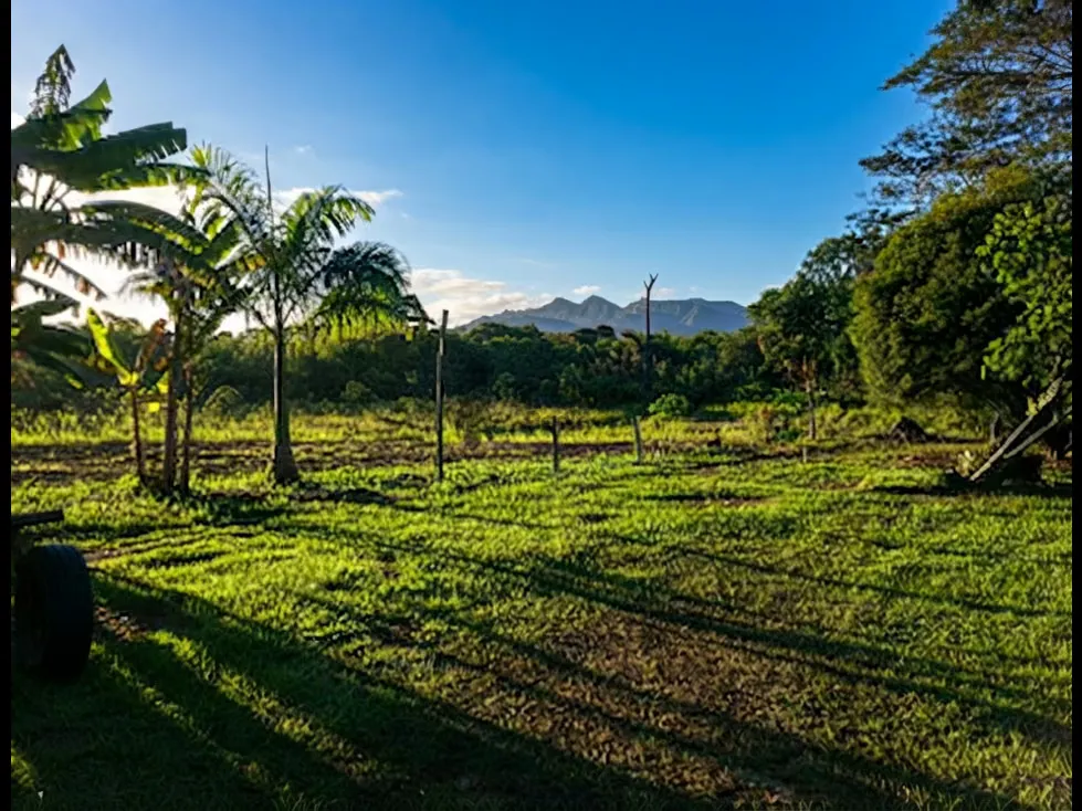 ESPECTACULAR FINCA EN VENTA EN BEJUMA TCL F10368813 - 2
