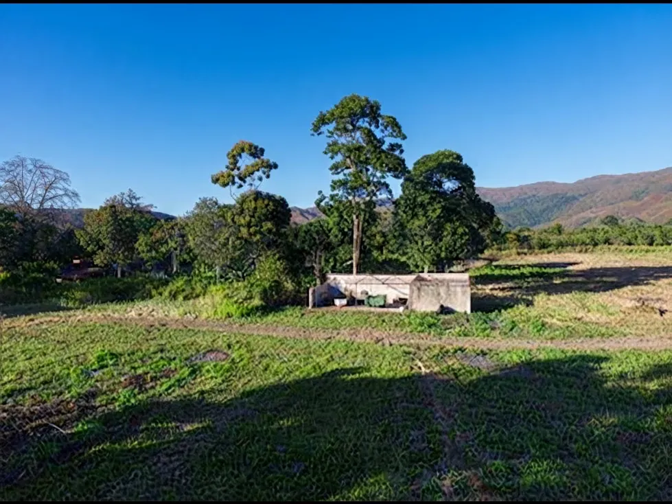 ESPECTACULAR FINCA EN VENTA EN BEJUMA TCL F10368813 - 3