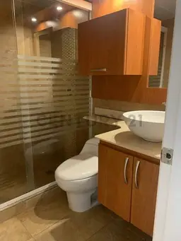 Vista 15