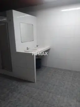 Vista 19