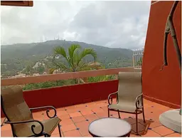 Vista 24
