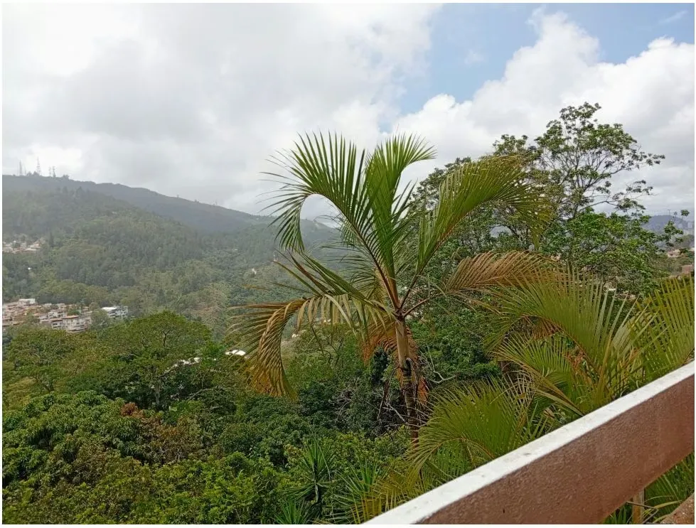 Vendo PB duplex remodelada 395m2 6hab 5b 3p Los Naranjos 6990 - 25