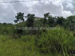 Vista 6