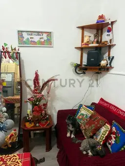 View 3