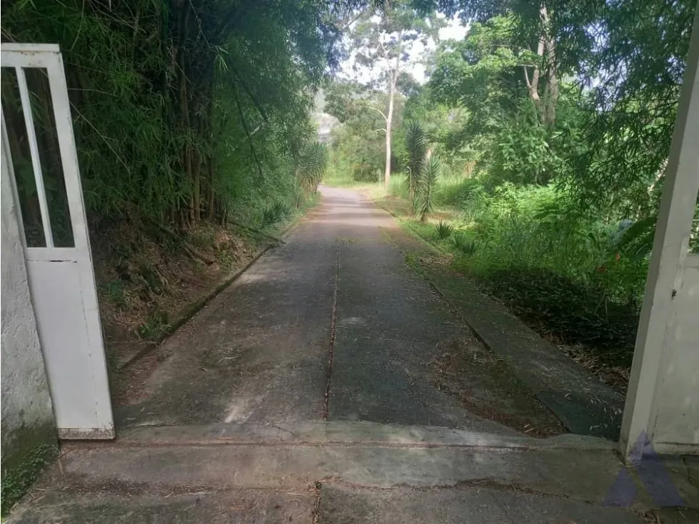 Vendo casa 400m2 Oripoto 3449 - 7