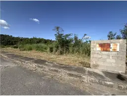 Vista 1