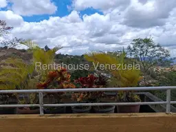 Vista 29