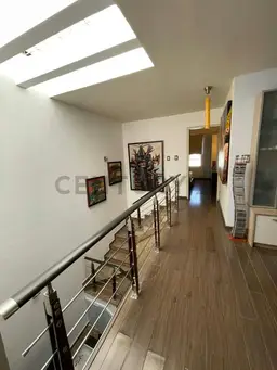Vista 13