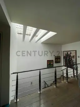 Vista 25
