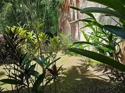 View 34
