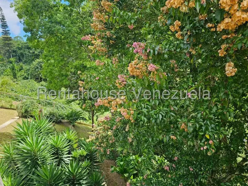 Casa (Contemporaneo) en Venta en La Lagunita Country Club, Distrito Metropolitano - 41