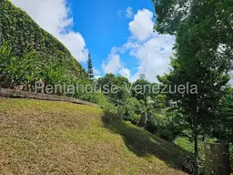 View 51