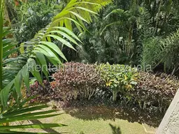 View 61