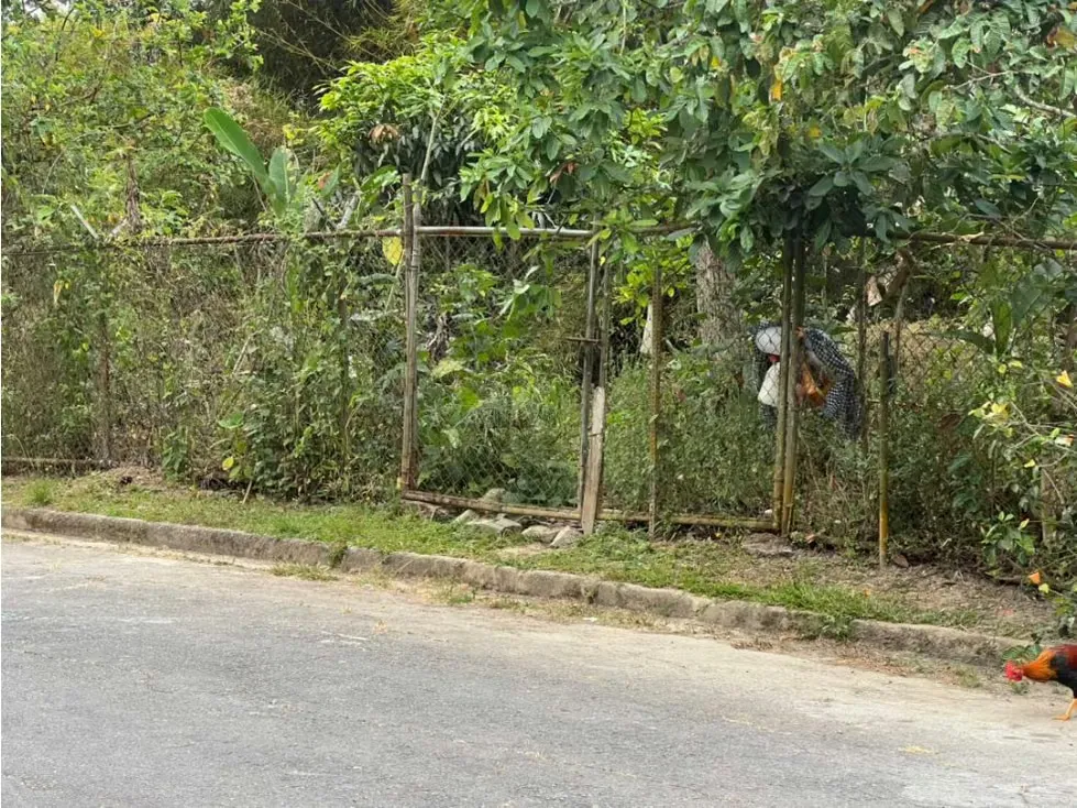 Se vende terreno 3.400m2 Oripoto 1931 - 5