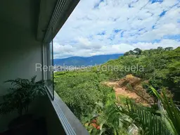 View 6