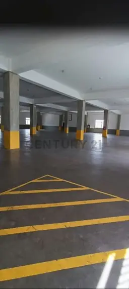 Vista 5