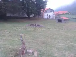 View 11
