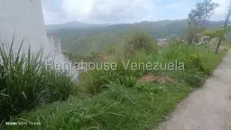 Vista 6