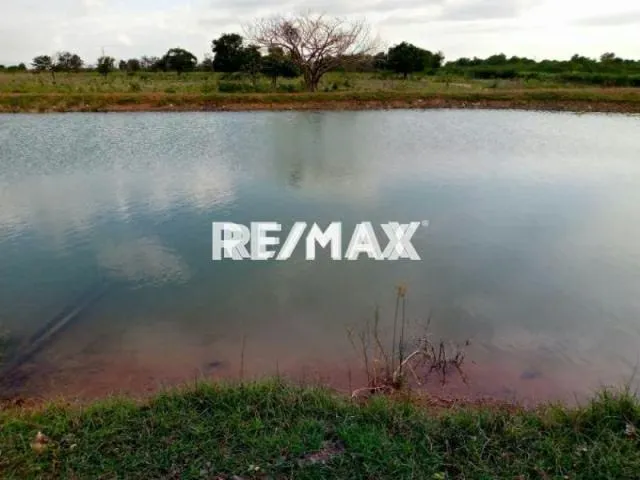 En Venta Finca Las Estefanias, Sector Vijaguita. Carretera Nacional Falcon - Zulia - 3