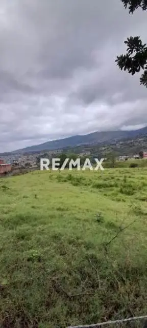 Terreno en Arjona