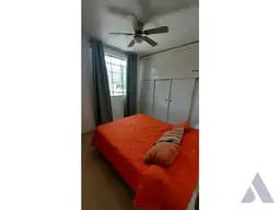 Vista 5