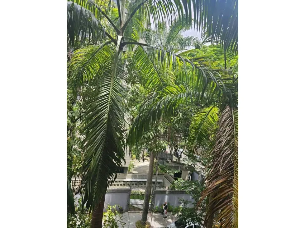 Alquilo apartamento tipo ejecutivo 56m2 El Rosal 8608 - 24