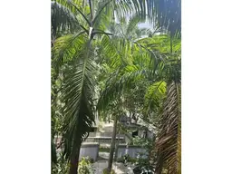 View 24