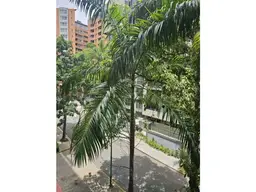 View 25