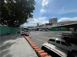 Vista 19