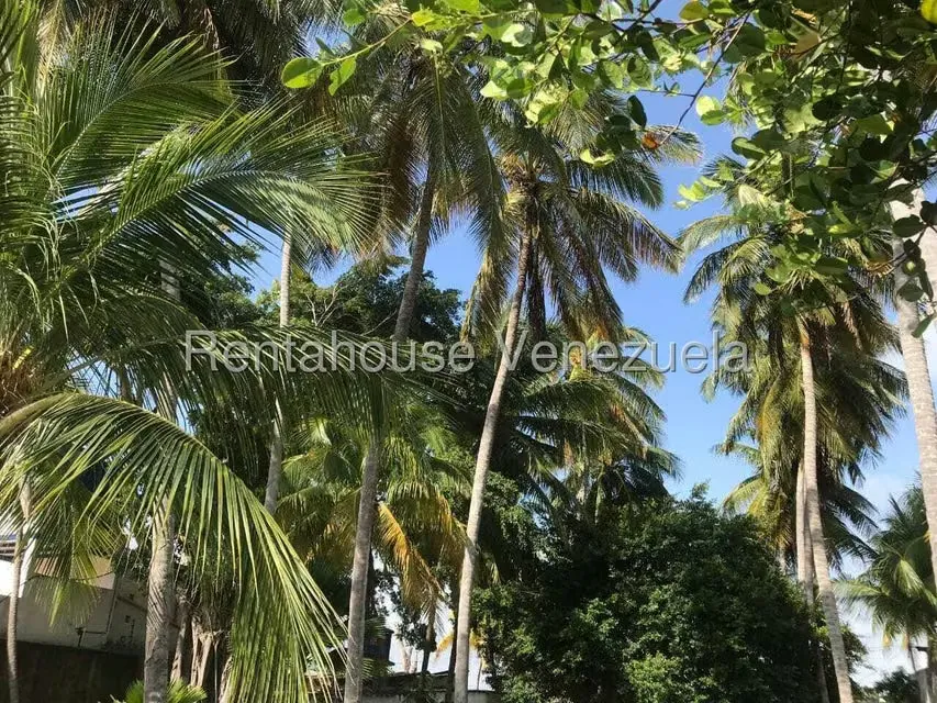Comercial (Posada) en Venta en Playa Sur, Falcon - 9