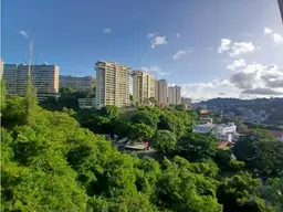 View 11