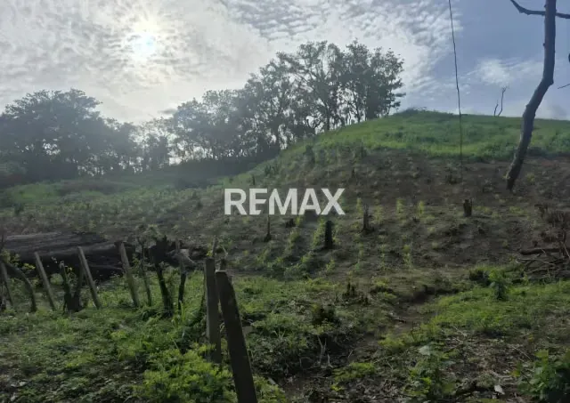 Venta de 58 ha en la Aguadita Edo. Cojedes - 12
