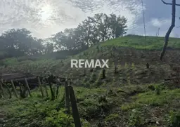 View 12