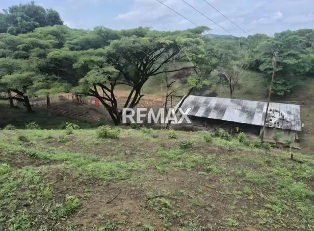 Venta de 58 ha en la Aguadita Edo. Cojedes - 14