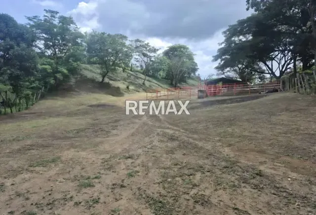 Venta de 58 ha en la Aguadita Edo. Cojedes - 15