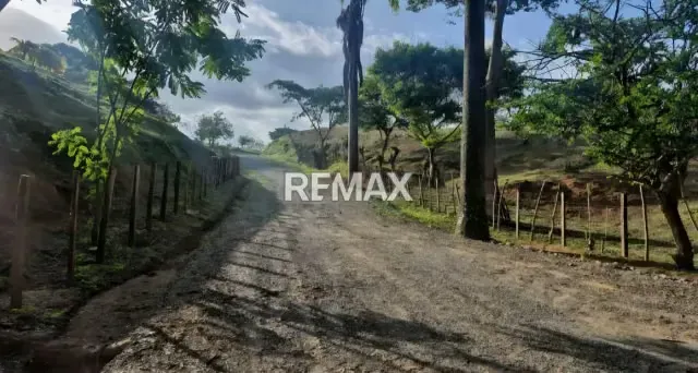Venta de 58 ha en la Aguadita Edo. Cojedes - 16