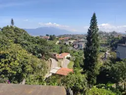 View 44