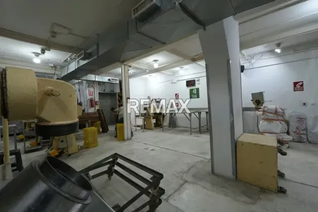 Edificio Industrial y Fondo de Comercio en Venta - 11