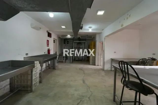 Edificio Industrial y Fondo de Comercio en Venta - 14