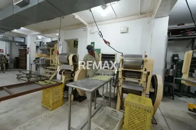 Edificio Industrial y Fondo de Comercio en Venta - 9