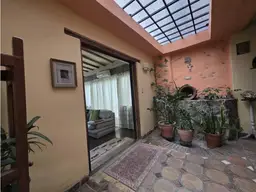 Vista 8