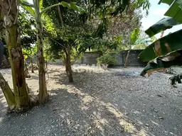 Vista 11