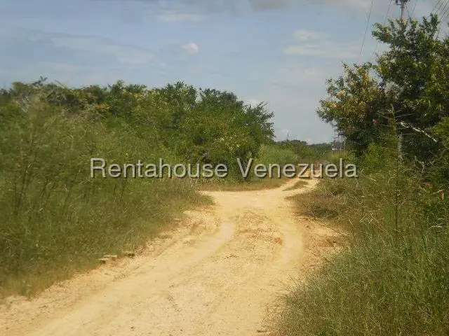 Terreno (Residencial) en Venta en Higuerote, Miranda - 3