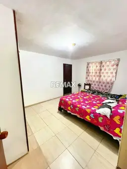 Vista 5
