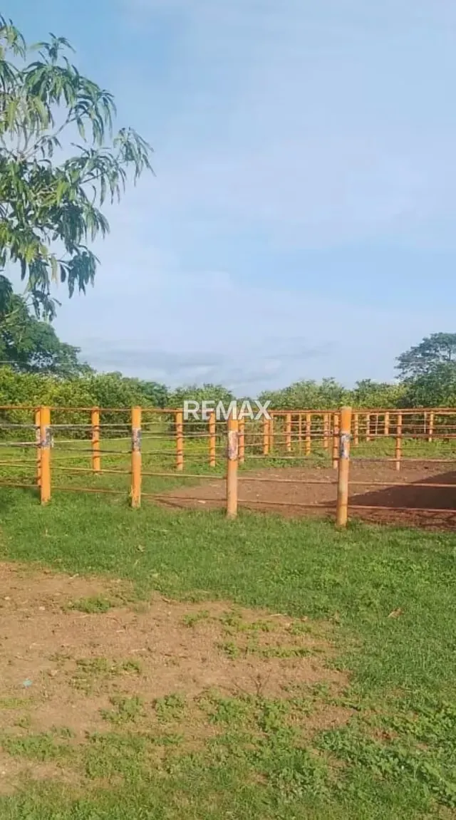 Venta de Finca en El Sector El Pueblito Edo Cojedes de 170 hectáreas - 4