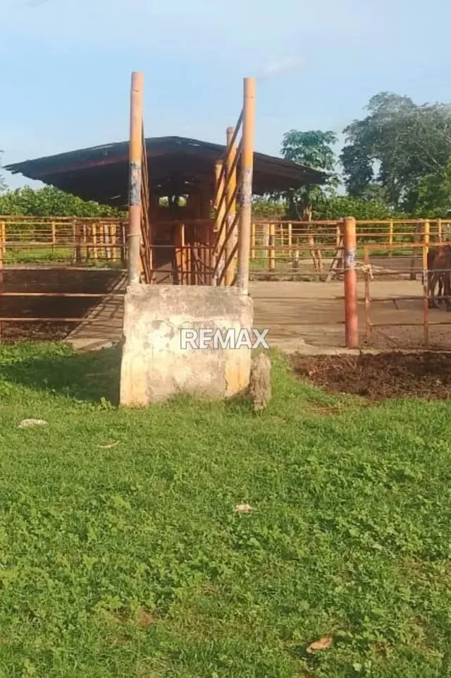 Venta de Finca en El Sector El Pueblito Edo Cojedes de 170 hectáreas - 5