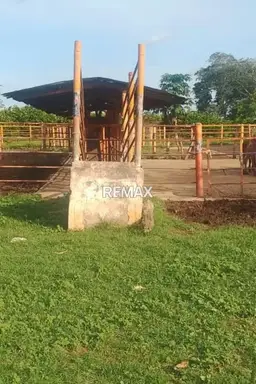 View 5