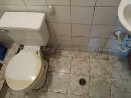 Vista 24